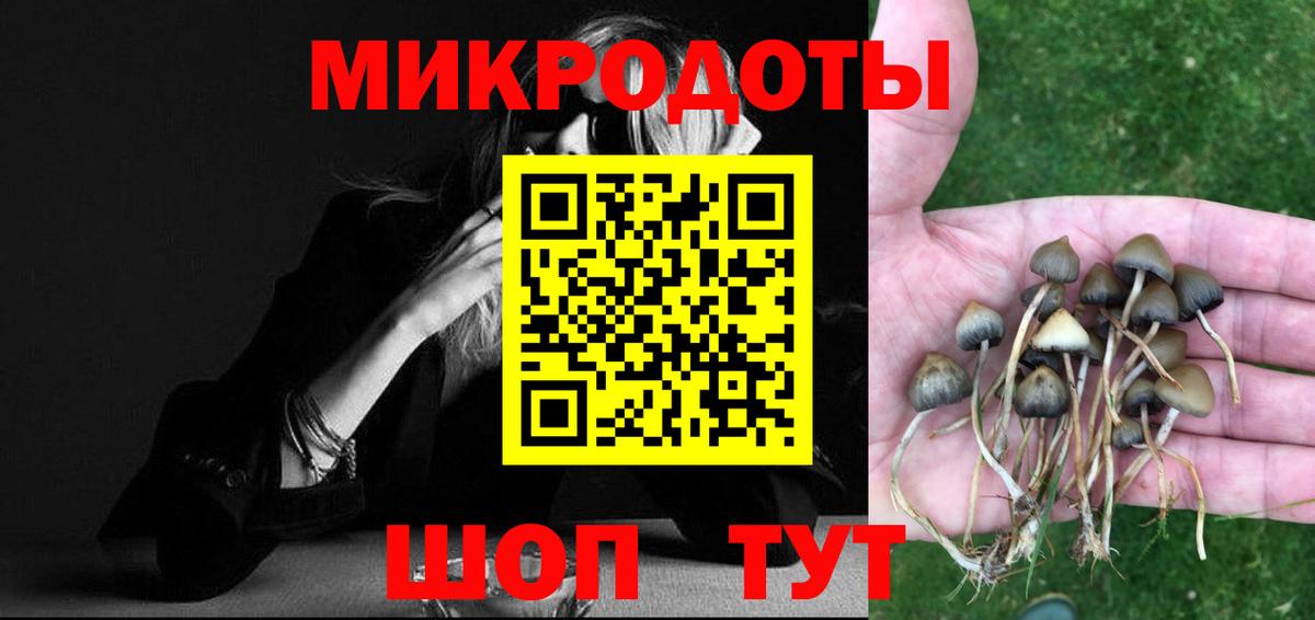 Электросталь  Псилоцибиновые грибы Psilocybine cubensis  Вход с VPN 
